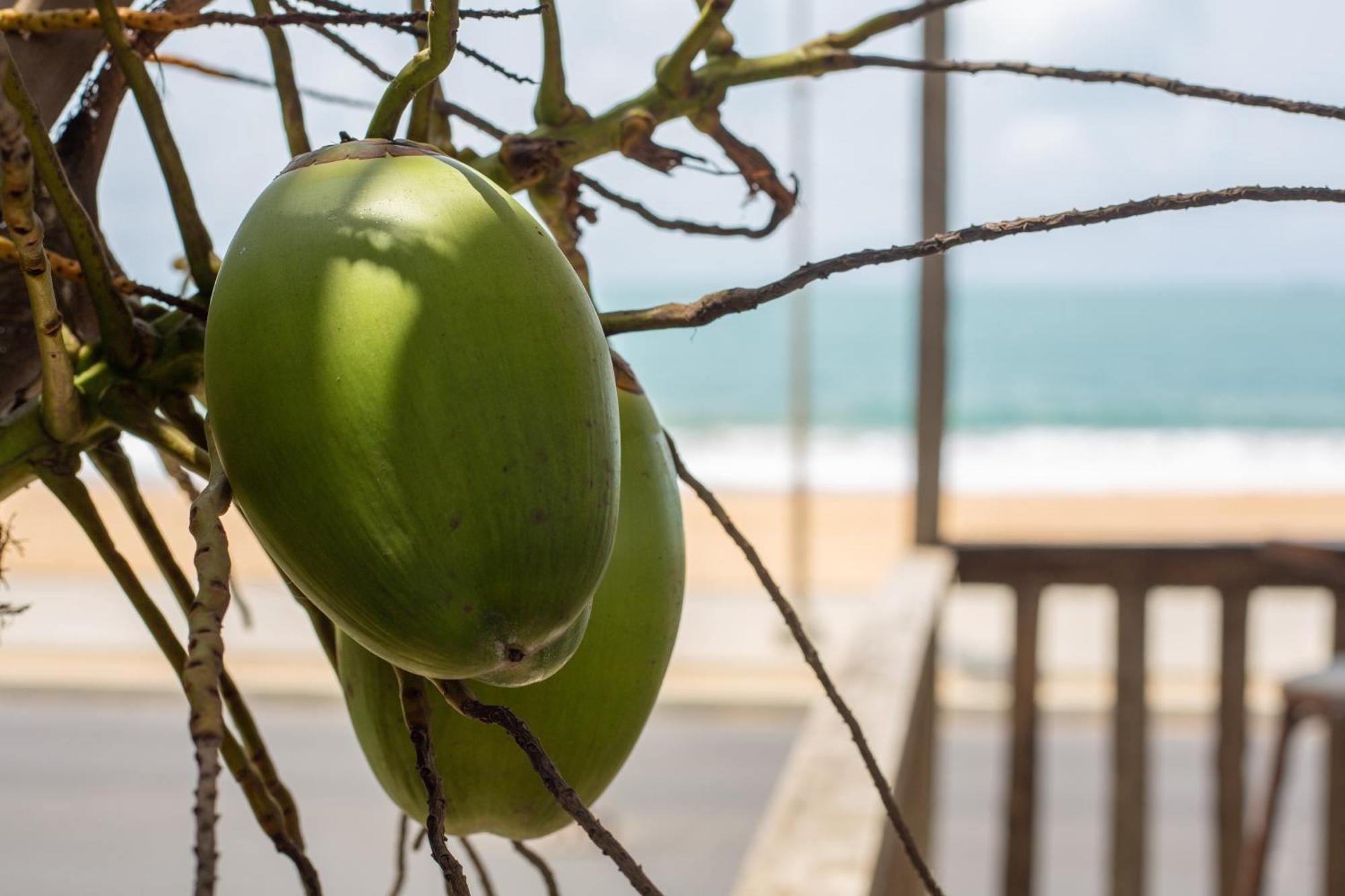 Tahiti Hotel Cotonou Ngoại thất bức ảnh